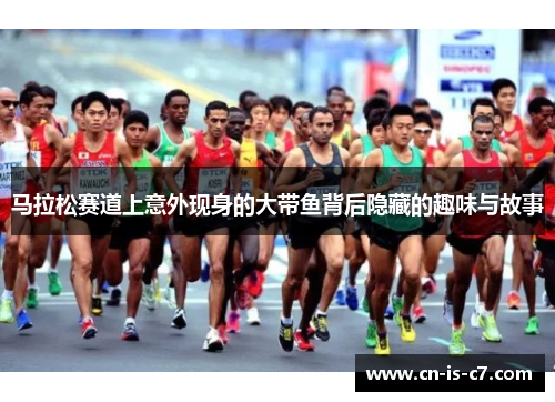 马拉松赛道上意外现身的大带鱼背后隐藏的趣味与故事