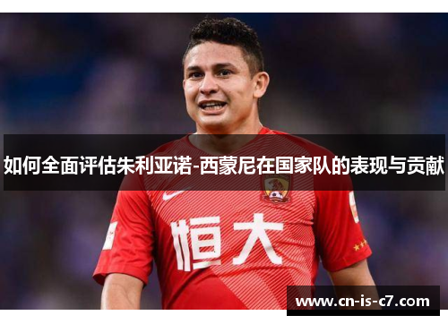 如何全面评估朱利亚诺-西蒙尼在国家队的表现与贡献